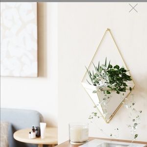 📣 Moving Sale!! ✨ NEW Umbra Trigg Large Plant Holder Wall Display